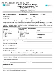 Fill Your Michigan Molina Prior Authorization Template